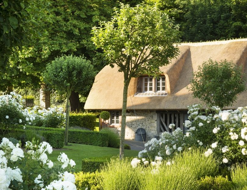 Collection Saint Simeon